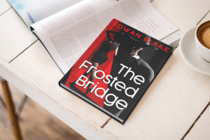 Book cover mockup 3