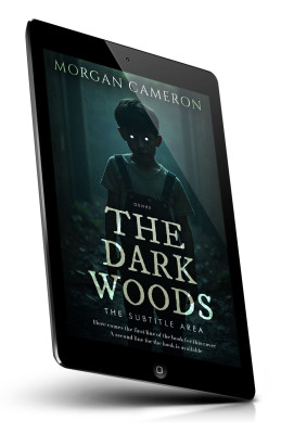bookcover0033146