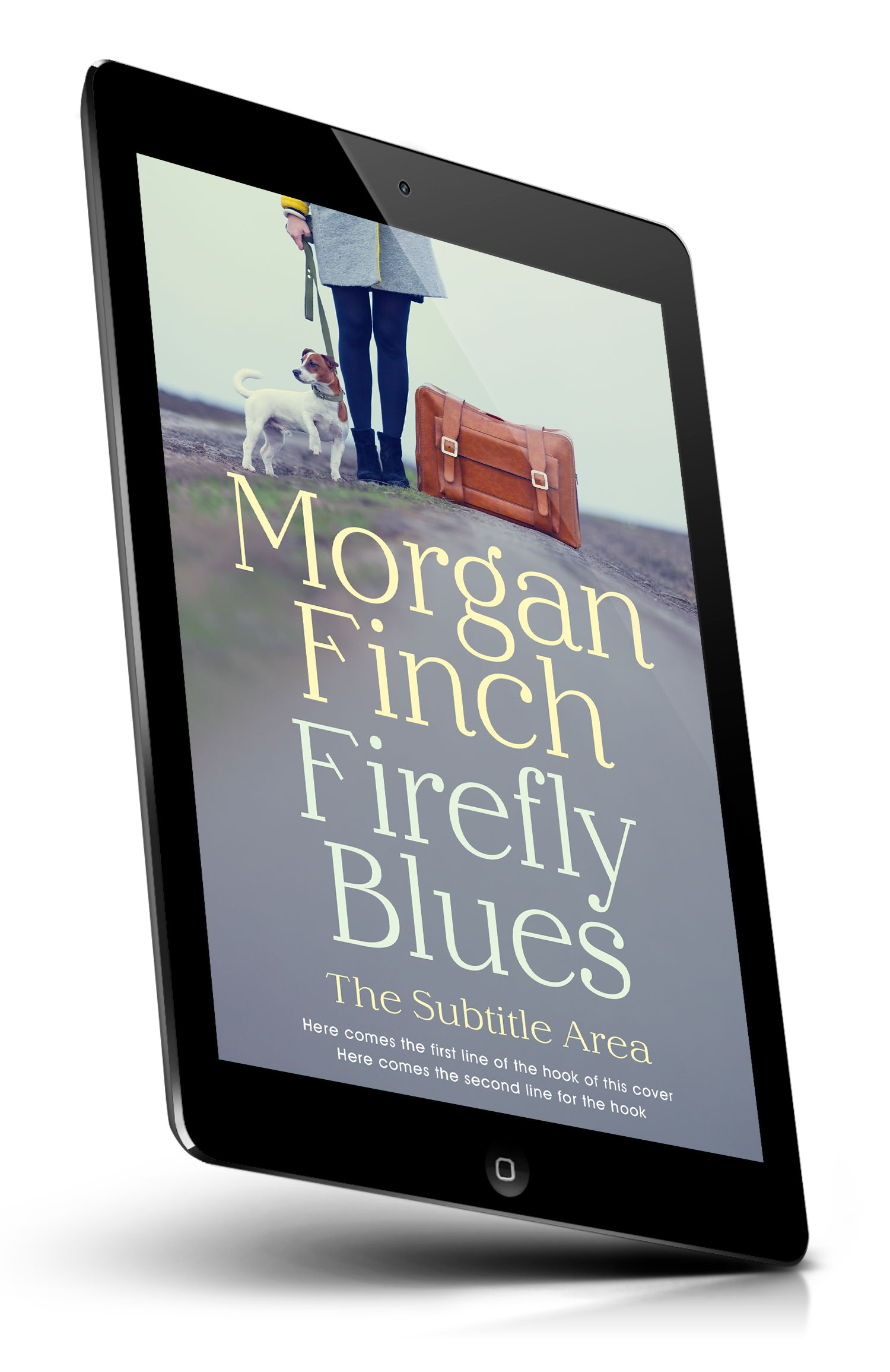 Tablet view of Premade Travel Book Cover - Oslo Gray #36689 | BookCoverZone