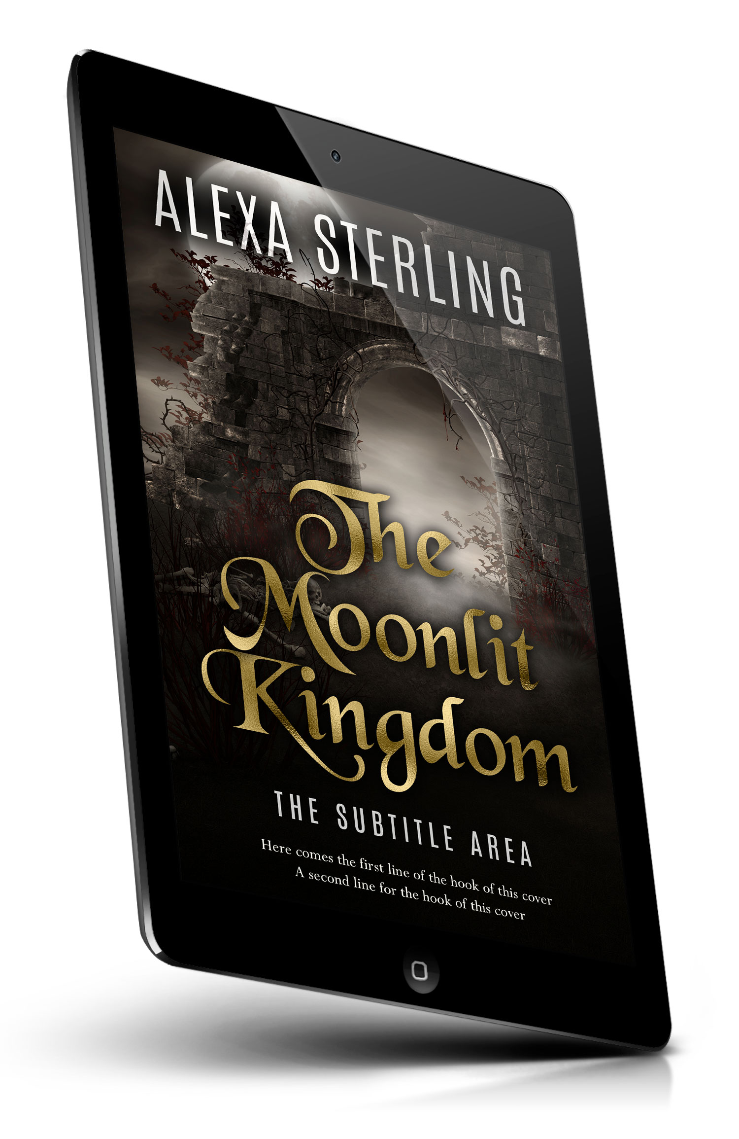 Tablet view of Premade Fantasy Book Cover - Zeus #37010 | BookCoverZone