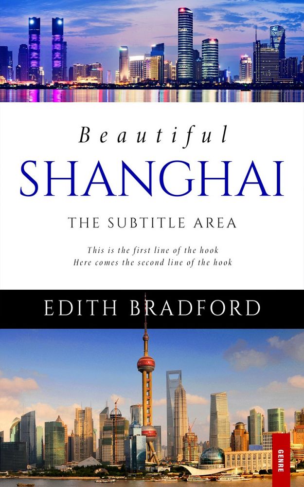 Front view of Wild Blue Yonder #5346 - Premade Travel Book Cover | BookCoverZone