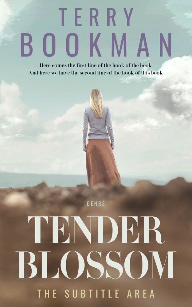 Front view of Pumice #8300 - Premade Fantasy Book Cover | BookCoverZone
