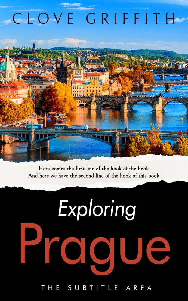Front view of Cod Gray #10331 - Premade Travel Book Cover | BookCoverZone
