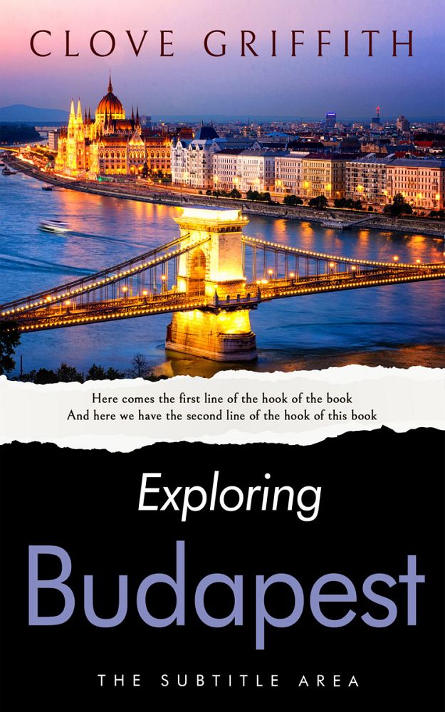 Front view of Cocoa Brown #10332 - Premade Travel Book Cover | BookCoverZone