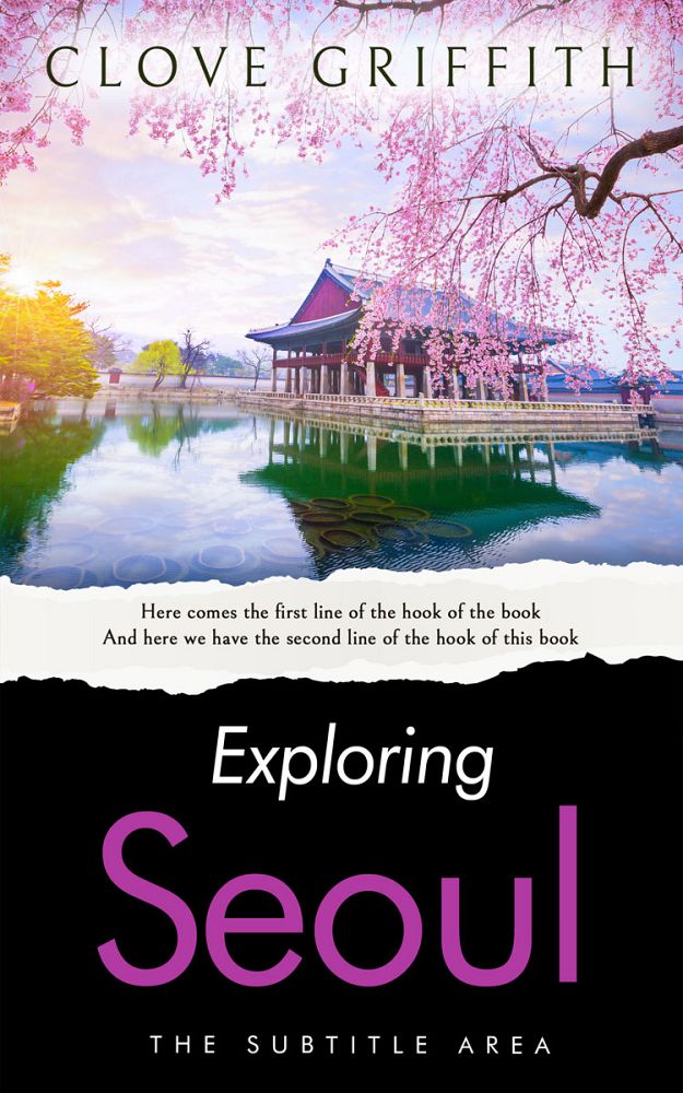 Front view of Mischka #10334 - Premade Travel Book Cover | BookCoverZone