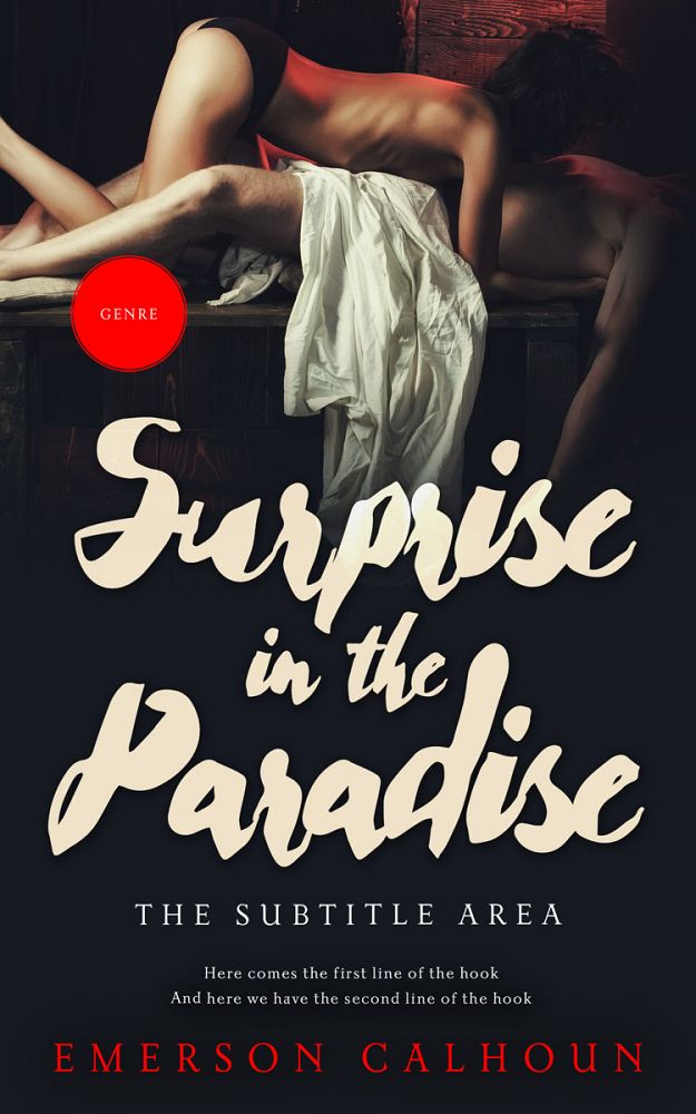 Front view of Cameo #13382 - Premade Erotica Book Cover | BookCoverZone