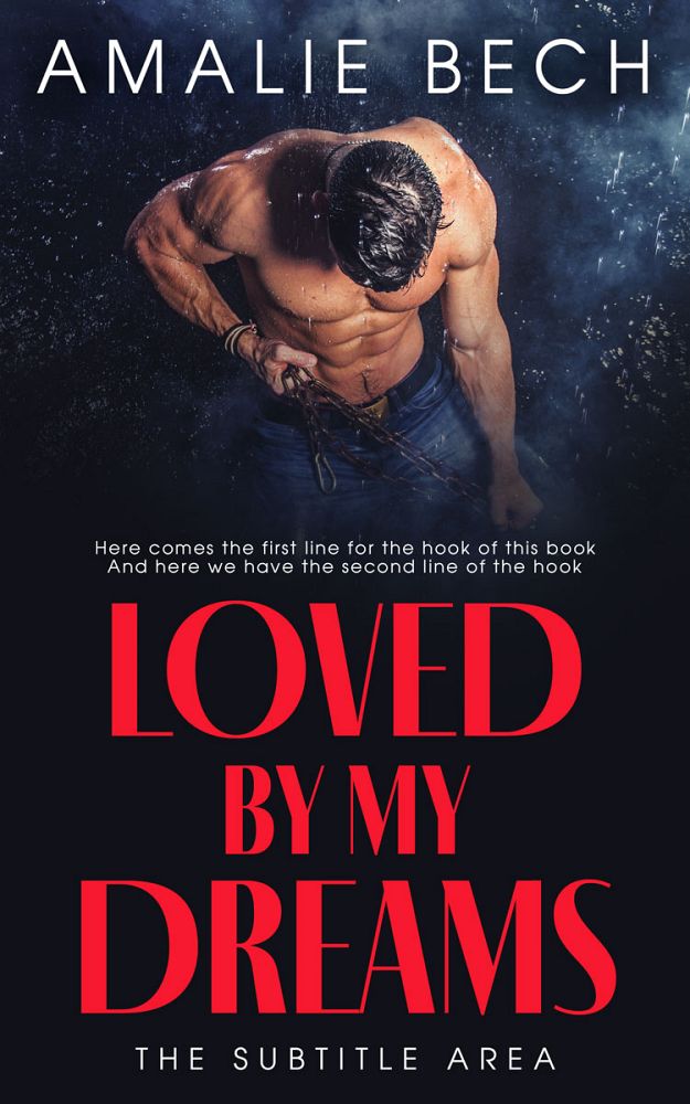 Front view of Steel Gray #14102 - Premade Erotica Book Cover | BookCoverZone