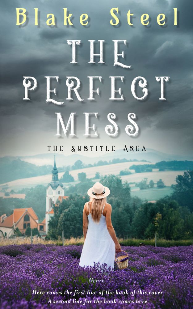 Front view of Shuttle Gray #16332 - Premade Romance Book Cover | BookCoverZone