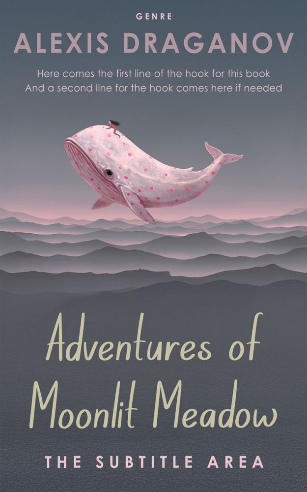 Front view of Shuttle Gray #16372 - Premade Children Book Cover | BookCoverZone