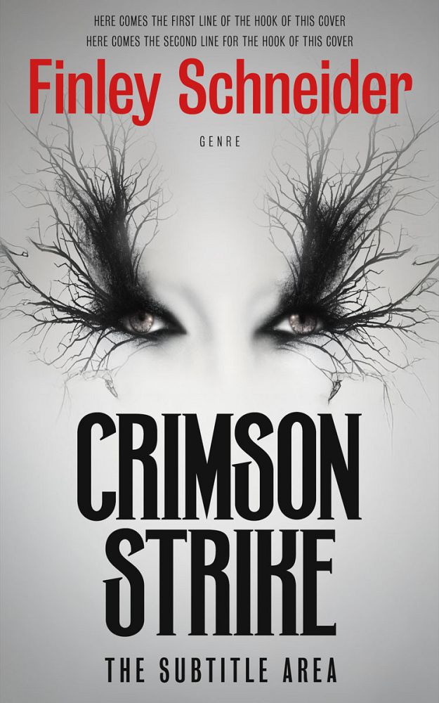 Front view of Gray Nickel #16716 - Premade Fantasy Book Cover | BookCoverZone
