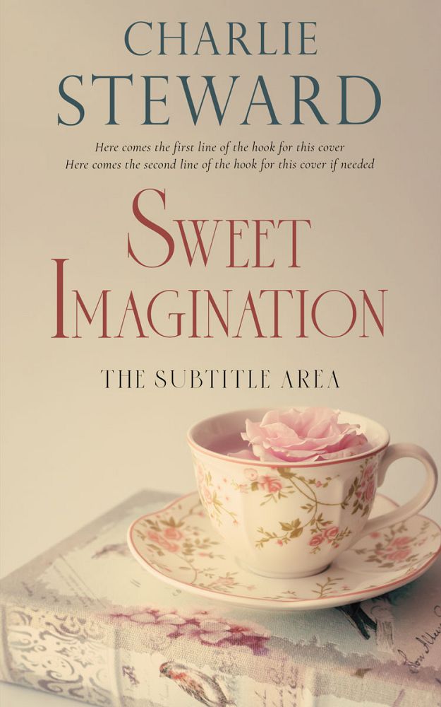 Front view of Akaroa #20892 - Premade Literary Fiction Book Cover | BookCoverZone