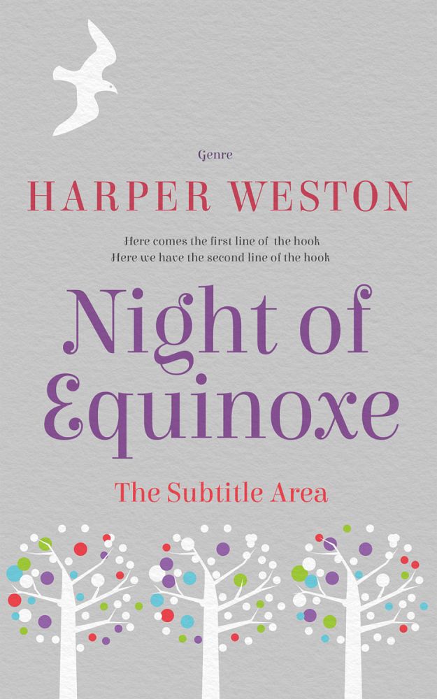 Front view of Silver #22737 - Premade Literary Fiction Book Cover | BookCoverZone