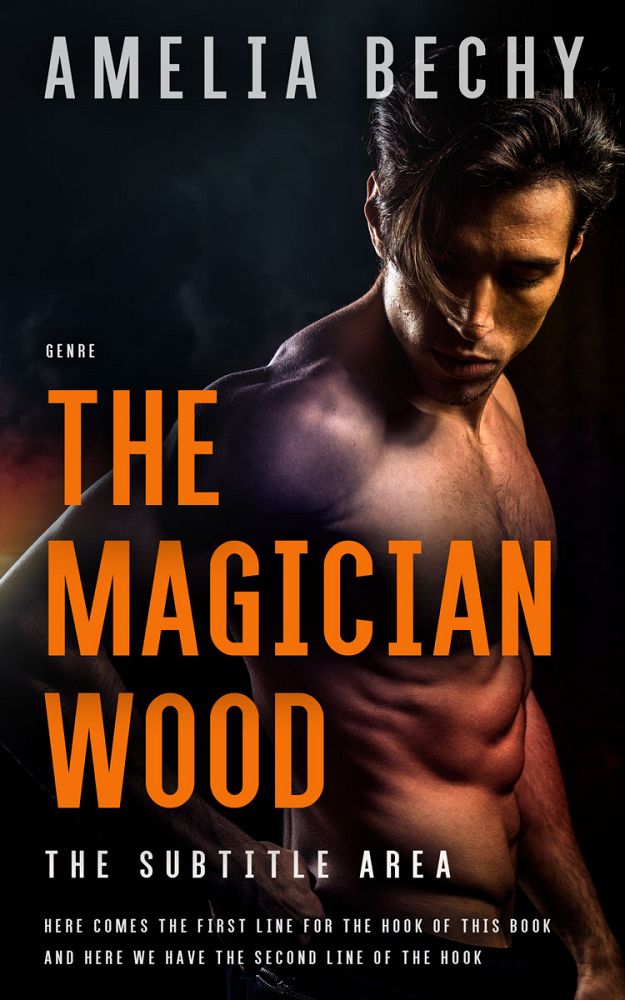 Front view of Raw Sienna #27952 - Premade Erotica Book Cover | BookCoverZone