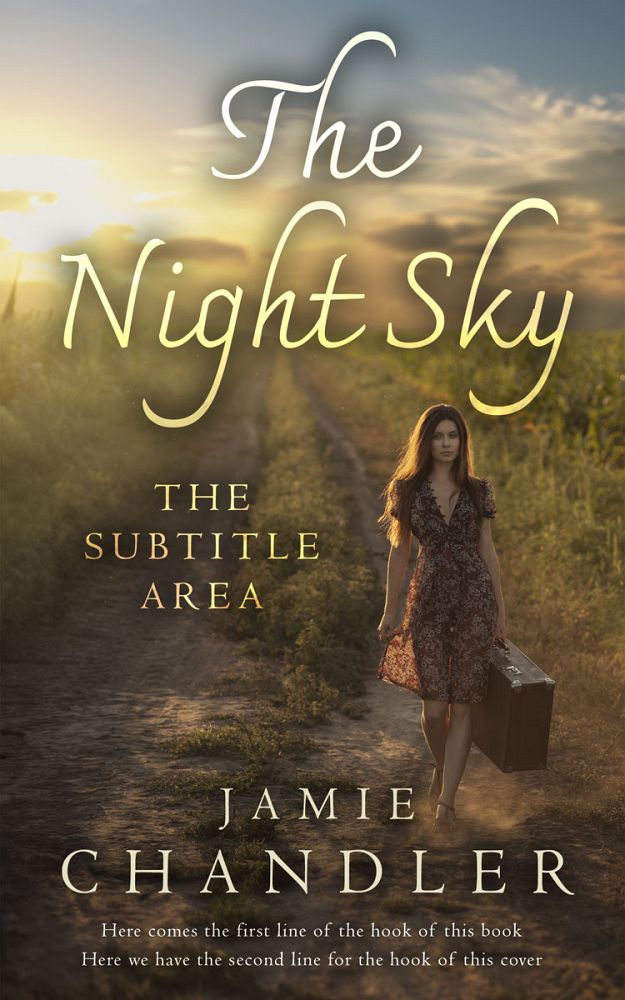 Front view of Judge Gray #30989 - Premade Travel Book Cover | BookCoverZone