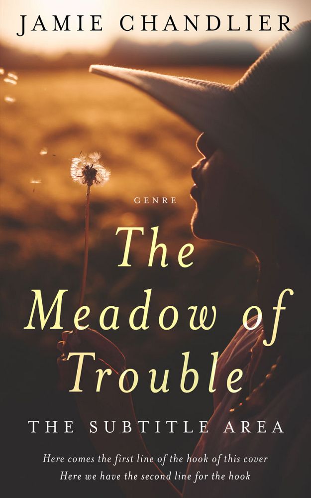 Front view of Tumbleweed #31576 - Premade Literary Fiction Book Cover | BookCoverZone