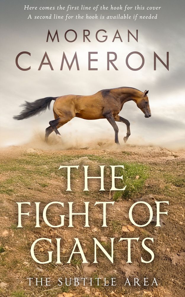 Front view of Sandrift #33075 - Premade Western Book Cover | BookCoverZone