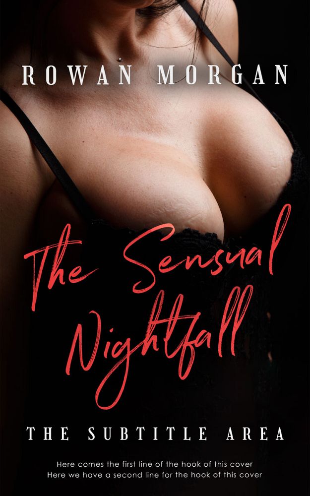 Front view of Night Rider #34247 - Premade Romance Book Cover | BookCoverZone