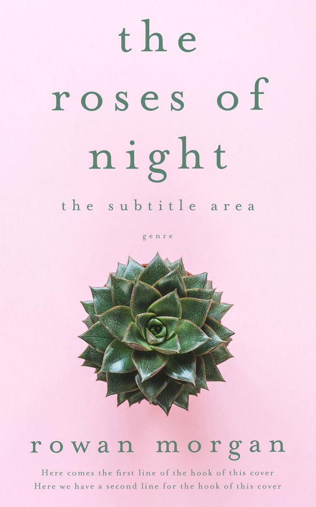Front view of Carousel Pink #34397 - Premade Poetry Book Cover | BookCoverZone