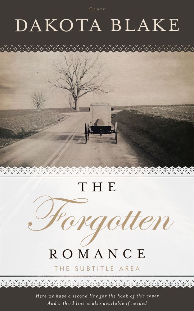 Front view of Armadillo #34618 - Premade Historical Book Cover | BookCoverZone