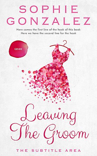 3D mockup of Wild Sand #4827 - Premade Chick Lit Book Cover | BookCoverZone