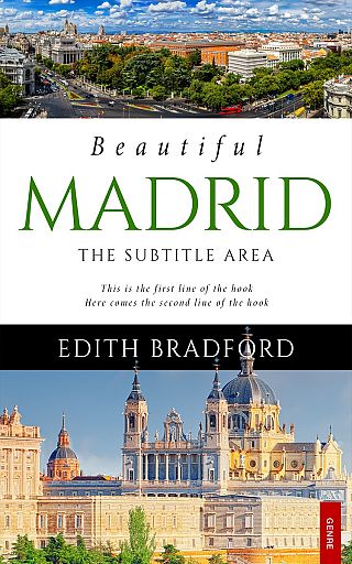3D mockup of Tide #5310 - Premade Travel Book Cover | BookCoverZone