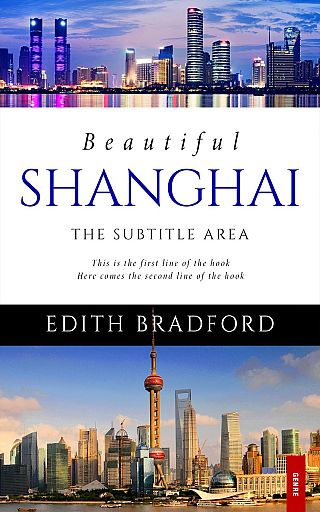 3D mockup of Wild Blue Yonder #5346 - Premade Travel Book Cover | BookCoverZone