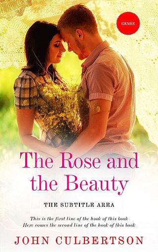 3D mockup of Rum Swizzle #5702 - Premade Romance Book Cover | BookCoverZone