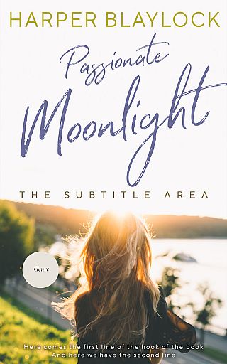 3D mockup of Fuscous Gray #6782 - Premade Romance Book Cover | BookCoverZone