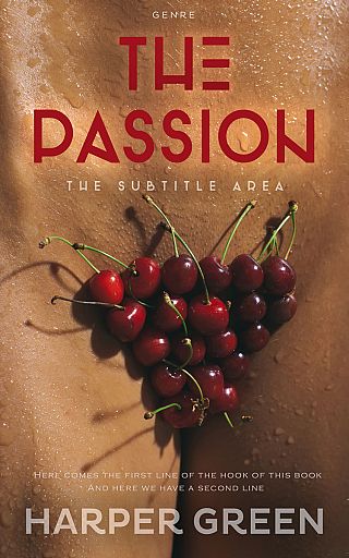 3D mockup of Cape Palliser #6970 - Premade Erotica Book Cover | BookCoverZone