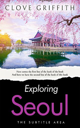 3D mockup of Mischka #10334 - Premade Travel Book Cover | BookCoverZone