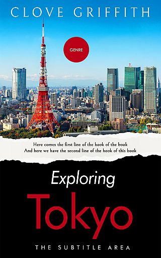 3D mockup of Woodsmoke #10335 - Premade Travel Book Cover | BookCoverZone