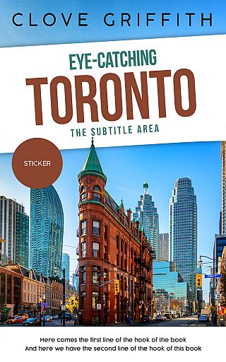 3D mockup of Rock #10355 - Premade Travel Book Cover | BookCoverZone