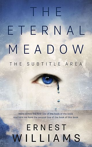 3D mockup of Timberwolf #11087 - Premade Surreal Book Cover | BookCoverZone