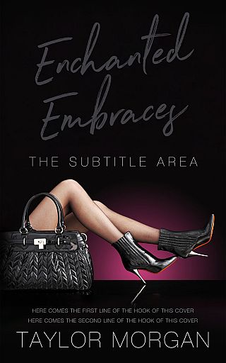 3D mockup of Cod Gray #14850 - Premade Chick Lit Book Cover | BookCoverZone