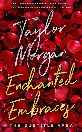 3D mockup of Dark Burgundy #14853 - Premade Romance Book Cover | BookCoverZone
