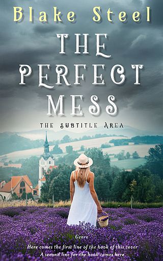 3D mockup of Shuttle Gray #16332 - Premade Romance Book Cover | BookCoverZone