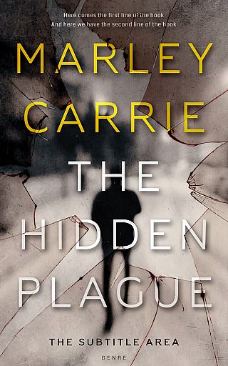 3D mockup of Silk #20244 - Premade Literary Fiction Book Cover | BookCoverZone