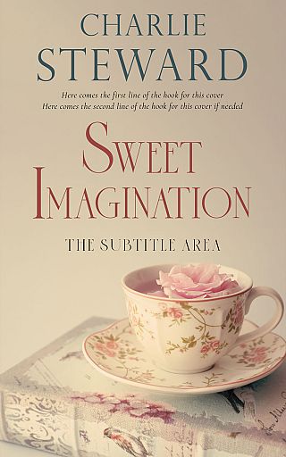 3D mockup of Akaroa #20892 - Premade Literary Fiction Book Cover | BookCoverZone