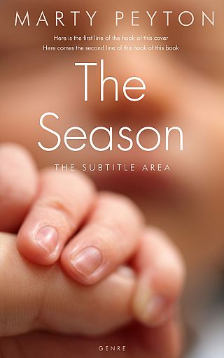 3D mockup of Santa Fe #21671 - Premade Family & Parenting Book Cover | BookCoverZone