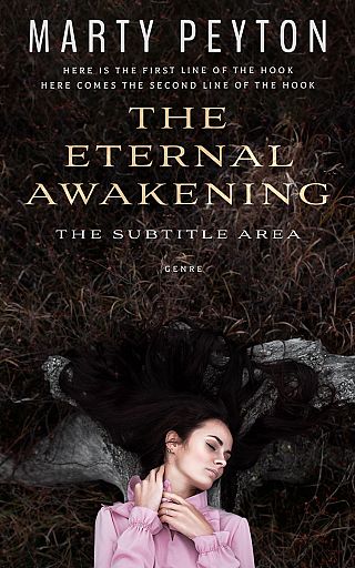 3D mockup of Zeus #21820 - Premade Teen & Young Adult Book Cover | BookCoverZone