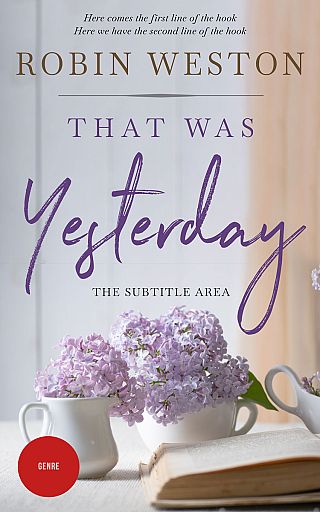 3D mockup of Pale Slate #22546 - Premade Literary Fiction Book Cover | BookCoverZone