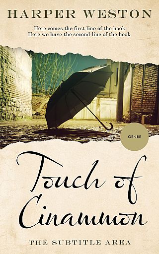 3D mockup of Rangitoto #22894 - Premade Literary Fiction Book Cover | BookCoverZone