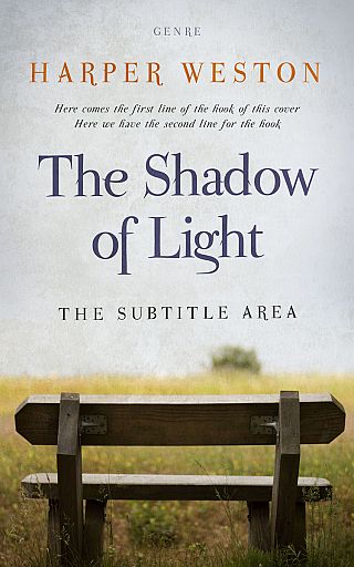 3D mockup of Birch #23697 - Premade Literary Fiction Book Cover | BookCoverZone