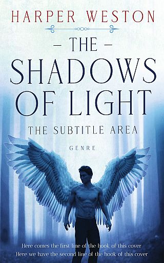 3D mockup of Jagged Ice #23740 - Premade Paranormal & Urban Book Cover | BookCoverZone