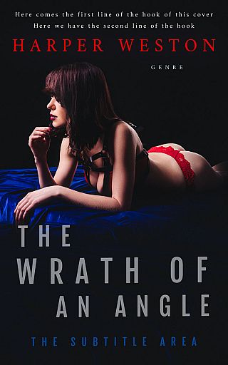 3D mockup of Woodsmoke #23952 - Premade Erotica Book Cover | BookCoverZone