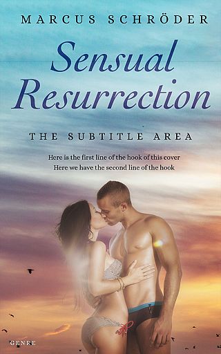 3D mockup of Gray Chateau #25405 - Premade Erotica Book Cover | BookCoverZone
