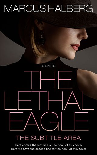 3D mockup of Night Rider #27371 - Premade Chick Lit Book Cover | BookCoverZone