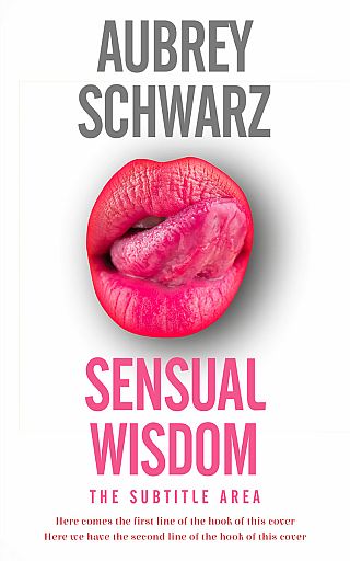 3D mockup of Cabaret #27532 - Premade Erotica Book Cover | BookCoverZone