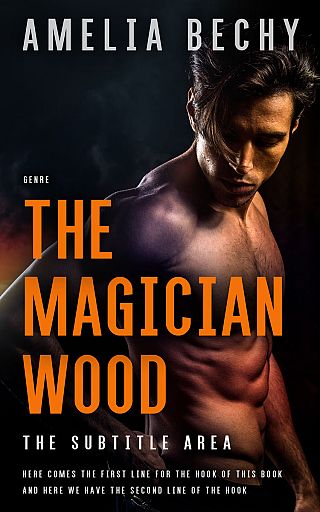3D mockup of Raw Sienna #27952 - Premade Erotica Book Cover | BookCoverZone