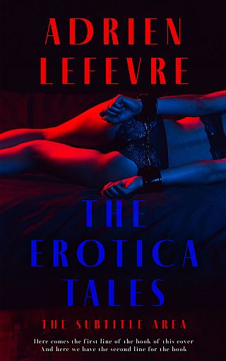3D mockup of Ebony #29289 - Premade Erotica Book Cover | BookCoverZone